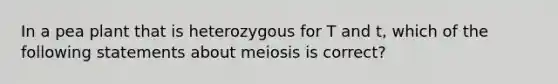 In a pea plant that is heterozygous for T and t, which of the following statements about meiosis is correct?