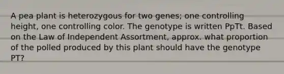 A pea plant is heterozygous for two genes; one controlling height, one controlling color. The genotype is written PpTt. Based on the Law of Independent Assortment, approx. what proportion of the polled produced by this plant should have the genotype PT?