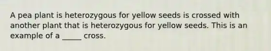 A pea plant is heterozygous for yellow seeds is crossed with another plant that is heterozygous for yellow seeds. This is an example of a _____ cross.