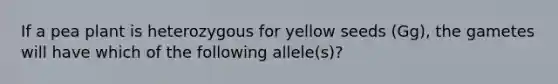 If a pea plant is heterozygous for yellow seeds (Gg), the gametes will have which of the following allele(s)?