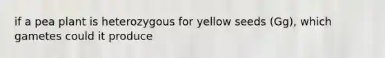 if a pea plant is heterozygous for yellow seeds (Gg), which gametes could it produce