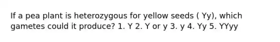 If a pea plant is heterozygous for yellow seeds ( Yy), which gametes could it produce? 1. Y 2. Y or y 3. y 4. Yy 5. YYyy