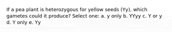 If a pea plant is heterozygous for yellow seeds (Yy), which gametes could it produce? Select one: a. y only b. YYyy c. Y or y d. Y only e. Yy