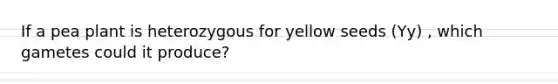 If a pea plant is heterozygous for yellow seeds (Yy) , which gametes could it produce?