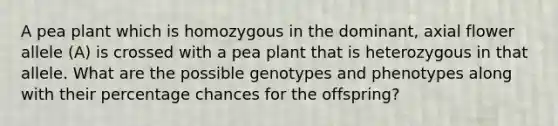 A pea plant which is homozygous in the dominant, axial flower allele (A) is crossed with a pea plant that is heterozygous in that allele. What are the possible genotypes and phenotypes along with their percentage chances for the offspring?