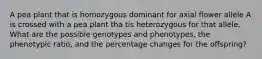 A pea plant that is homozygous dominant for axial flower allele A is crossed with a pea plant tha tis heterozygous for that allele. What are the possible genotypes and phenotypes, the phenotypic ratio, and the percentage changes for the offspring?