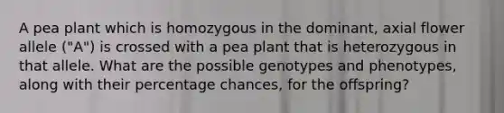 A pea plant which is homozygous in the dominant, axial flower allele ("A") is crossed with a pea plant that is heterozygous in that allele. What are the possible genotypes and phenotypes, along with their percentage chances, for the offspring?