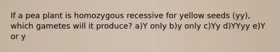 If a pea plant is homozygous recessive for yellow seeds (yy), which gametes will it produce? a)Y only b)y only c)Yy d)YYyy e)Y or y