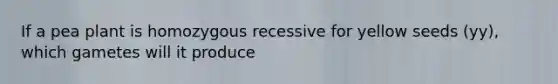 If a pea plant is homozygous recessive for yellow seeds (yy), which gametes will it produce