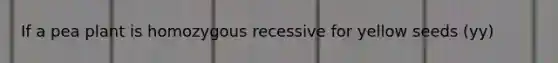 If a pea plant is homozygous recessive for yellow seeds (yy)