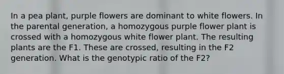 In a pea plant, purple flowers are dominant to white flowers. In the parental generation, a homozygous purple flower plant is crossed with a homozygous white flower plant. The resulting plants are the F1. These are crossed, resulting in the F2 generation. What is the genotypic ratio of the F2?