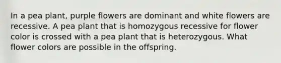 In a pea plant, purple flowers are dominant and white flowers are recessive. A pea plant that is homozygous recessive for flower color is crossed with a pea plant that is heterozygous. What flower colors are possible in the offspring.