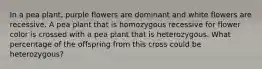 In a pea plant, purple flowers are dominant and white flowers are recessive. A pea plant that is homozygous recessive for flower color is crossed with a pea plant that is heterozygous. What percentage of the offspring from this cross could be heterozygous?