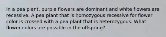 In a pea plant, purple flowers are dominant and white flowers are recessive. A pea plant that is homozygous recessive for flower color is crossed with a pea plant that is heterozygous. What flower colors are possible in the offspring?