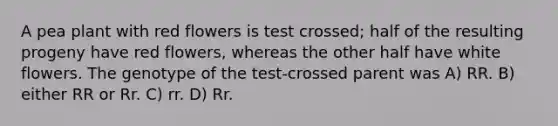 A pea plant with red flowers is test crossed; half of the resulting progeny have red flowers, whereas the other half have white flowers. The genotype of the test-crossed parent was A) RR. B) either RR or Rr. C) rr. D) Rr.