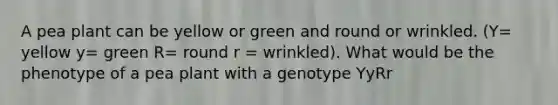 A pea plant can be yellow or green and round or wrinkled. (Y= yellow y= green R= round r = wrinkled). What would be the phenotype of a pea plant with a genotype YyRr