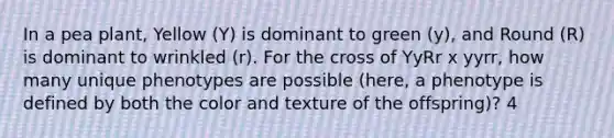 In a pea plant, Yellow (Y) is dominant to green (y), and Round (R) is dominant to wrinkled (r). For the cross of YyRr x yyrr, how many unique phenotypes are possible (here, a phenotype is defined by both the color and texture of the offspring)? 4