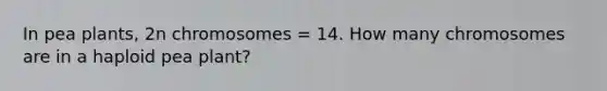 In pea plants, 2n chromosomes = 14. How many chromosomes are in a haploid pea plant?