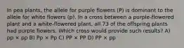 In pea plants, the allele for purple flowers (P) is dominant to the allele for white flowers (p). In a cross between a purple-flowered plant and a white-flowered plant, all 73 of the offspring plants had purple flowers. Which cross would provide such results? A) pp × pp B) Pp × Pp C) PP × PP D) PP × pp