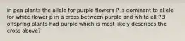 in pea plants the allele for purple flowers P is dominant to allele for white flower p in a cross between purple and white all 73 offspring plants had purple which is most likely describes the cross above?