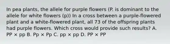 In pea plants, the allele for purple flowers (P. is dominant to the allele for white flowers (p)) In a cross between a purple-flowered plant and a white-flowered plant, all 73 of the offspring plants had purple flowers. Which cross would provide such results? A. PP × pp B. Pp × Pp C. pp × pp D. PP × PP