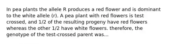 In pea plants the allele R produces a red flower and is dominant to the white allele (r). A pea plant with red flowers is test crossed, and 1/2 of the resulting progeny have red flowers whereas the other 1/2 have white flowers. therefore, the genotype of the test-crossed parent was...