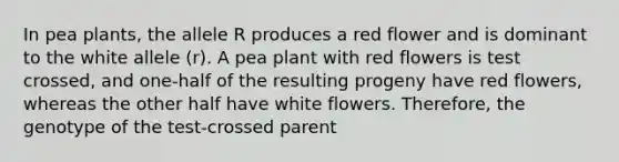 In pea plants, the allele R produces a red flower and is dominant to the white allele (r). A pea plant with red flowers is test crossed, and one-half of the resulting progeny have red flowers, whereas the other half have white flowers. Therefore, the genotype of the test-crossed parent