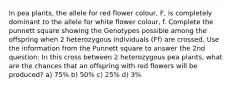 In pea plants, the allele for red flower colour, F, is completely dominant to the allele for white flower colour, f. Complete the punnett square showing the Genotypes possible among the offspring when 2 heterozygous individuals (Ff) are crossed. Use the information from the Punnett square to answer the 2nd question: In this cross between 2 heterozygous pea plants, what are the chances that an offspring with red flowers will be produced? a) 75% b) 50% c) 25% d) 3%