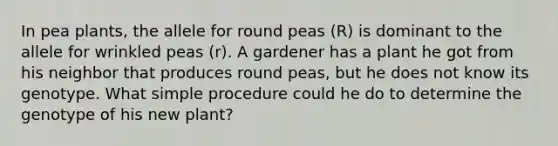 In pea plants, the allele for round peas (R) is dominant to the allele for wrinkled peas (r). A gardener has a plant he got from his neighbor that produces round peas, but he does not know its genotype. What simple procedure could he do to determine the genotype of his new plant?