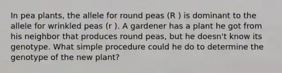 In pea plants, the allele for round peas (R ) is dominant to the allele for wrinkled peas (r ). A gardener has a plant he got from his neighbor that produces round peas, but he doesn't know its genotype. What simple procedure could he do to determine the genotype of the new plant?