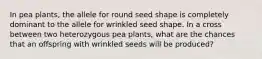 In pea plants, the allele for round seed shape is completely dominant to the allele for wrinkled seed shape. In a cross between two heterozygous pea plants, what are the chances that an offspring with wrinkled seeds will be produced?