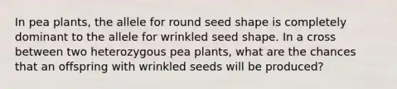 In pea plants, the allele for round seed shape is completely dominant to the allele for wrinkled seed shape. In a cross between two heterozygous pea plants, what are the chances that an offspring with wrinkled seeds will be produced?