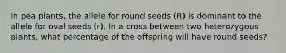 In pea plants, the allele for round seeds (R) is dominant to the allele for oval seeds (r). In a cross between two heterozygous plants, what percentage of the offspring will have round seeds?