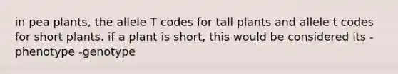 in pea plants, the allele T codes for tall plants and allele t codes for short plants. if a plant is short, this would be considered its -phenotype -genotype