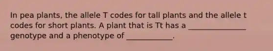 In pea plants, the allele T codes for tall plants and the allele t codes for short plants. A plant that is Tt has a _______________ genotype and a phenotype of ____________.