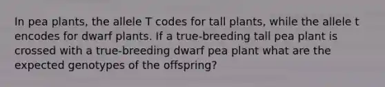 In pea plants, the allele T codes for tall plants, while the allele t encodes for dwarf plants. If a true-breeding tall pea plant is crossed with a true-breeding dwarf pea plant what are the expected genotypes of the offspring?