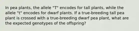 In pea plants, the allele "T" encodes for tall plants, while the allele "t" encodes for dwarf plants. If a true-breeding tall pea plant is crossed with a true-breeding dwarf pea plant, what are the expected genotypes of the offspring?