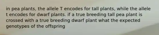 in pea plants, the allele T encodes for tall plants, while the allele t encodes for dwarf plants. if a true breeding tall pea plant is crossed with a true breeding dwarf plant what the expected genotypes of the offspring