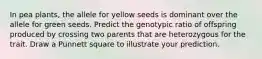 In pea plants, the allele for yellow seeds is dominant over the allele for green seeds. Predict the genotypic ratio of offspring produced by crossing two parents that are heterozygous for the trait. Draw a Punnett square to illustrate your prediction.