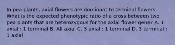 In pea plants, axial flowers are dominant to terminal flowers. What is the expected phenotypic ratio of a cross between two pea plants that are heterozygous for the axial flower gene? A. 1 axial : 1 terminal B. All axial C. 3 axial : 1 terminal D. 3 terminal : 1 axial