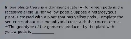 In pea plants there is a dominant allele (A) for green pods and a recessive allele (a) for yellow pods. Suppose a heterozygous plant is crossed with a plant that has yellow pods. Complete the sentences about this monohybrid cross with the correct terms. **The genotype of the gametes produced by the plant with yellow pods is ____________