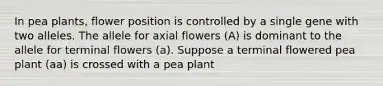 In pea plants, flower position is controlled by a single gene with two alleles. The allele for axial flowers (A) is dominant to the allele for terminal flowers (a). Suppose a terminal flowered pea plant (aa) is crossed with a pea plant