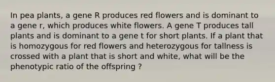 In pea plants, a gene R produces red flowers and is dominant to a gene r, which produces white flowers. A gene T produces tall plants and is dominant to a gene t for short plants. If a plant that is homozygous for red flowers and heterozygous for tallness is crossed with a plant that is short and white, what will be the phenotypic ratio of the offspring ?