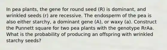 In pea plants, the gene for round seed (R) is dominant, and wrinkled seeds (r) are recessive. The endosperm of the pea is also either starchy, a dominant gene (A), or waxy (a). Construct the Punnett square for two pea plants with the genotype RrAa. What is the probability of producing an offspring with wrinkled starchy seeds?