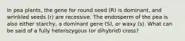 In pea plants, the gene for round seed (R) is dominant, and wrinkled seeds (r) are recessive. The endosperm of the pea is also either starchy, a dominant gene (S), or waxy (s). What can be said of a fully heterozygous (or dihybrid) cross?