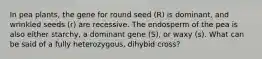 In pea plants, the gene for round seed (R) is dominant, and wrinkled seeds (r) are recessive. The endosperm of the pea is also either starchy, a dominant gene (S), or waxy (s). What can be said of a fully heterozygous, dihybid cross?