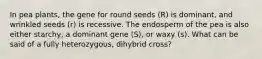 In pea plants, the gene for round seeds (R) is dominant, and wrinkled seeds (r) is recessive. The endosperm of the pea is also either starchy, a dominant gene (S), or waxy (s). What can be said of a fully heterozygous, dihybrid cross?