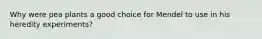 Why were pea plants a good choice for Mendel to use in his heredity experiments?