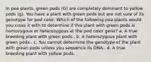 In pea plants, green pods (G) are completely dominant to yellow pods (g). You have a plant with green pods but are not sure of its genotype for pod color. Which of the following pea plants would you cross it with to determine if this plant with green pods is homozygous or heterozygous at the pod color gene? a. A true breeding plant with green pods.. b. A heterozygous plant with green pods.. c. You cannot determine the genotype of the plant with green pods unless you sequence its DNA.. d. A true breeding plant with yellow pods.