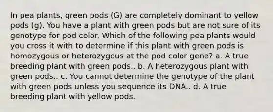 In pea plants, green pods (G) are completely dominant to yellow pods (g). You have a plant with green pods but are not sure of its genotype for pod color. Which of the following pea plants would you cross it with to determine if this plant with green pods is homozygous or heterozygous at the pod color gene? a. A true breeding plant with green pods.. b. A heterozygous plant with green pods.. c. You cannot determine the genotype of the plant with green pods unless you sequence its DNA.. d. A true breeding plant with yellow pods.